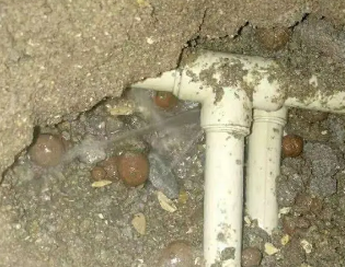 鹰手营卫生间测漏