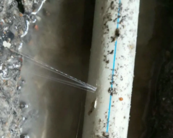 鹰手营卫生间测漏水多少钱